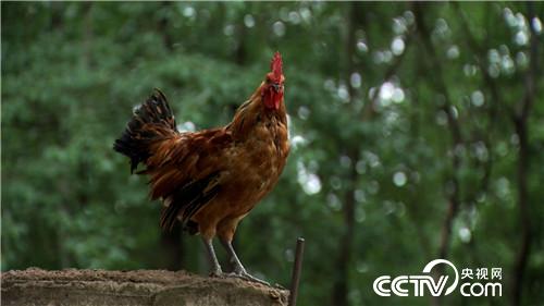 [�¸���(j��ng)]����ǧ�f������ �����uȺ�� 20180813 