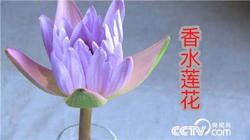 [�¸���(j��ng)]�����Ǻñ� ��(chu��ng)�I(y��)��ţ�� 20180801 