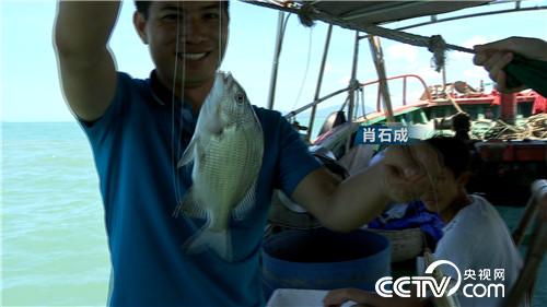 [�¸���(j��ng)]�O�������ι��� ��Խ����u700�f 20180822 