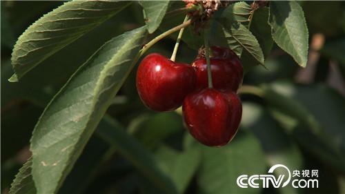 [�¸���(j��ng)]58�q���_ֻʣ200Ԫ֮�� 20180814 