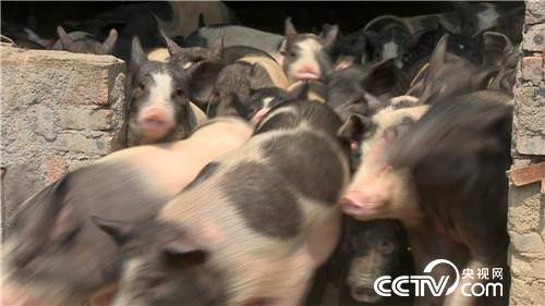 [�¸���]�r�Ћ����B(y��ng)���i һ�����u800�f20180808 