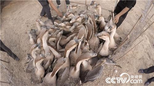 [¸(jng)]ϱDB(yng)Z “”(li)ǧf(wn)ؔ(ci) 20180807 