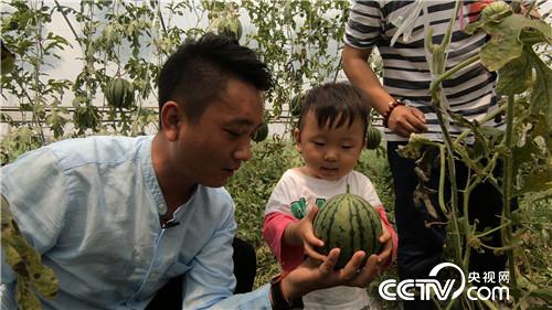 [¸(jng)]С“һָ” ٍװf 20180821 