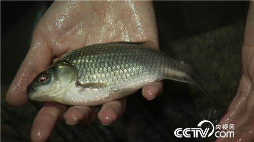 [�¸���(j��ng)]��ù����(qi��ng)�B(y��ng)���~ ���˰���ٍ���X 20180823 