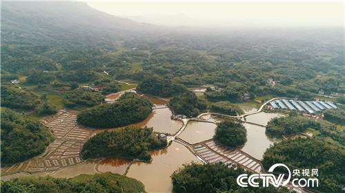 [�¸���(j��ng)]�Ǡ�(zh��ng)�h��90��С���B(y��ng)��ٍ�X(qi��n)����� 20180730 