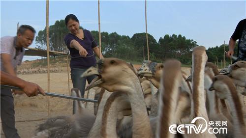 [¸(jng)]ϱDB(yng)Z “”(li)ǧf(wn)ؔ(ci) 20180807 