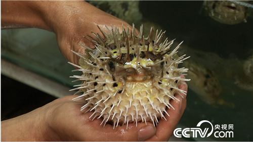 [�¸���(j��ng)]�O�������ι��� ��Խ����u700�f 20180822 