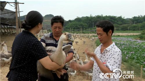 [¸(jng)]ϱDB(yng)Z “”(li)ǧf(wn)ؔ(ci) 20180807 