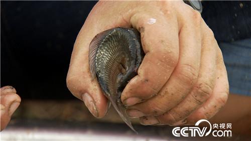 [�¸���(j��ng)]��ù����(qi��ng)�B(y��ng)���~ ���˰���ٍ���X 20180823 