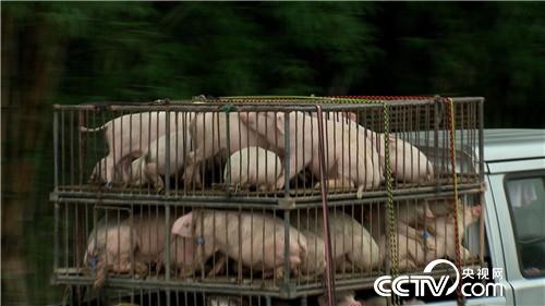 [�¸���(j��ng)]�x��Ů���B(y��ng)��؈�i ӭ�������ٍ�X 20180815 