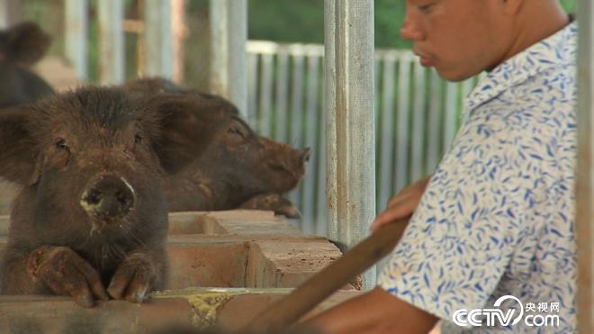 �¸���(j��ng)