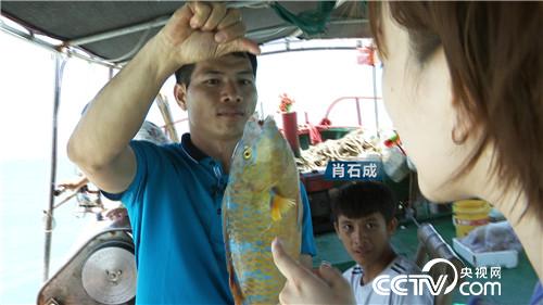 [�¸���(j��ng)]�O�������ι��� ��Խ����u700�f 20180822 