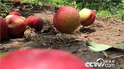 [�¸���(j��ng)]�����Ǻñ� ��(chu��ng)�I(y��)��ţ�� 20180801 