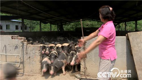 [�¸���]�r�Ћ����B(y��ng)���i һ�����u800�f20180808 