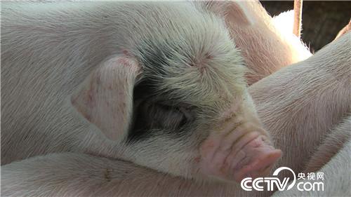 [�¸���(j��ng)]�x��Ů���B(y��ng)��؈�i ӭ�������ٍ�X 20180815 