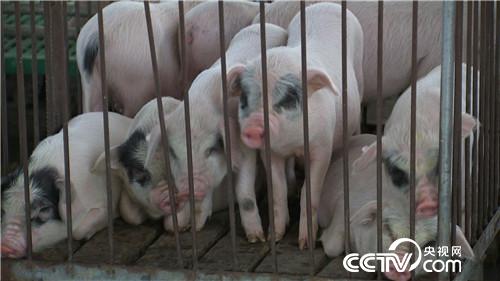 [�¸���(j��ng)]�x��Ů���B(y��ng)��؈�i ӭ�������ٍ�X 20180815 