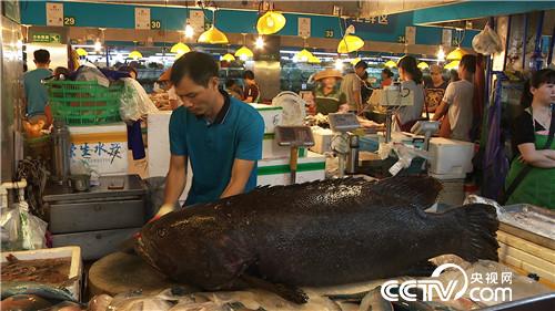 [�¸���(j��ng)]�O�������ι��� ��Խ����u700�f 20180822 