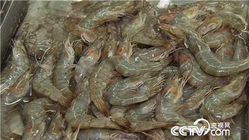 [¸(jng)]r ˮˮ¶ٍX(qin) 20180802 