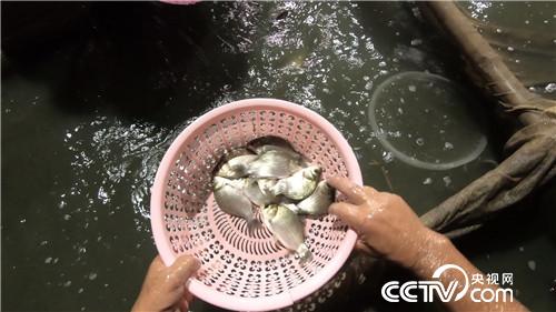 [�¸���(j��ng)]��ù����(qi��ng)�B(y��ng)���~ ���˰���ٍ���X 20180823 