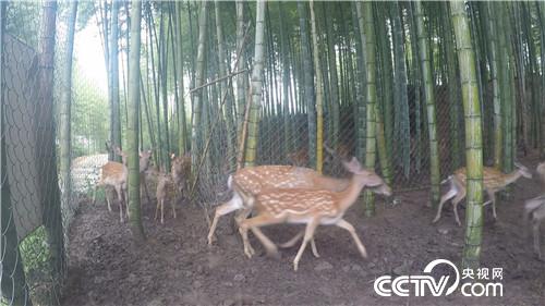 [�¸���]���TŮ����ɽ�B(y��ng)¹ һ���u��5000�f 20180828 