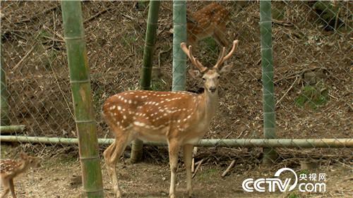 [�¸���]���TŮ����ɽ�B(y��ng)¹ һ���u��5000�f 20180828 