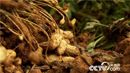 �¸���(j��ng)�����Ơ���������l(f��)�F(xi��n)��֮ؐ��(20170904)