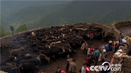 [�¸���(j��ng)]���f��ţؔ(c��i) ��ë������ 20180903 