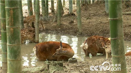 [�¸���]���TŮ����ɽ�B(y��ng)¹ һ���u��5000�f 20180828 