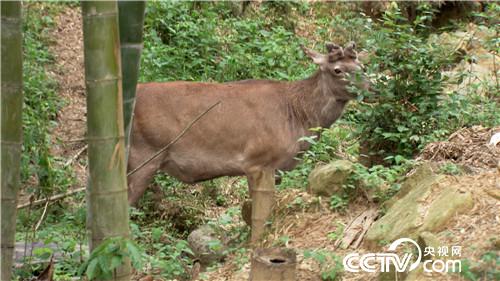 [�¸���]���TŮ����ɽ�B(y��ng)¹ һ���u��5000�f 20180828 