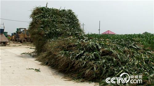 [�¸���(j��ng)]�������������u �U���u��һ�|�� 20180830 