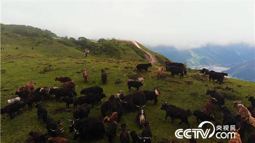 [�¸���(j��ng)]���f��ţؔ(c��i) ��ë������ 20180903 