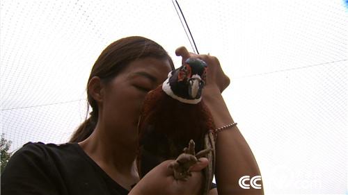 [�¸���(j��ng)]Ů�h���@��ɽ ����ٍ��Ұؔ�� 20180829 