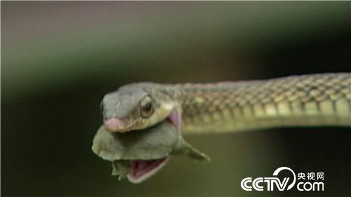 [�¸���(j��ng)]���۷��� �������Xٍ 20180827 