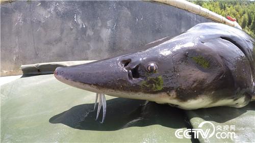 [�¸���(j��ng)]����1000Ԫ�J���� һ��Ԓ׌�����uǧ�f 20180904 