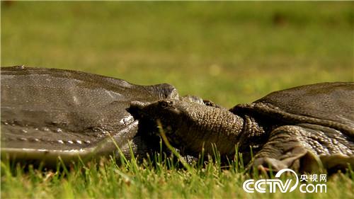 [�¸���(j��ng)]���۷��� �������Xٍ 20180827 