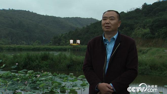 致富經(jīng):讓懶豬變勤快 年入千萬財(20171010)