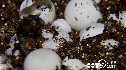 [�¸���(j��ng)]���۷��� �������Xٍ 20180827 