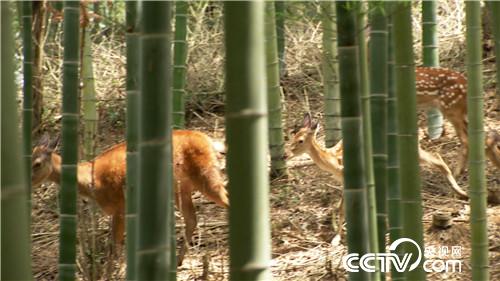 [�¸���]���TŮ����ɽ�B(y��ng)¹ һ���u��5000�f 20180828 