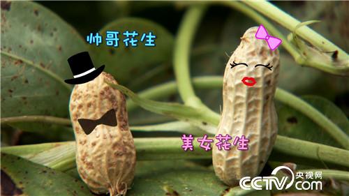 �¸���(j��ng)�����Ơ���������l(f��)�F(xi��n)��֮ؐ��(20170904)