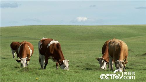 [�¸���(j��ng)]���؉��Ӟ�[�ؔ�С���|�fؔ 20180910 