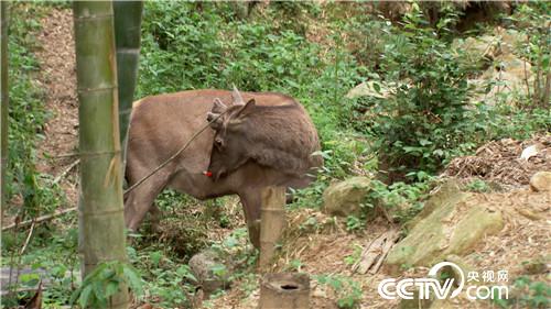 [�¸���]���TŮ����ɽ�B(y��ng)¹ һ���u��5000�f 20180828 