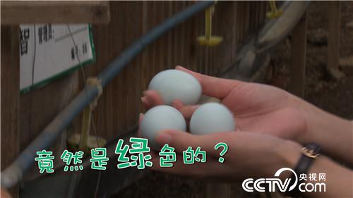 [�¸���(j��ng)]�������B(y��ng)�u�u�G�� �������u1000�f 20180906 