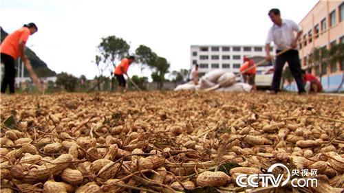 �¸���(j��ng)�����Ơ���������l(f��)�F(xi��n)��֮ؐ��(20170904)