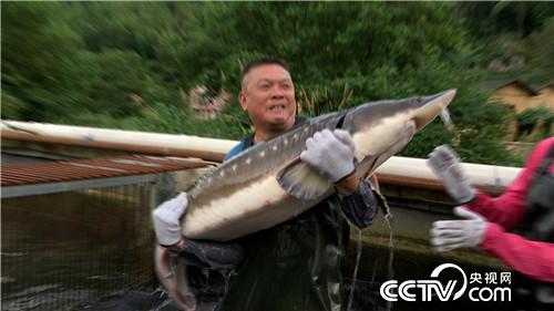 [�¸���(j��ng)]����1000Ԫ�J���� һ��Ԓ׌�����uǧ�f 20180904 