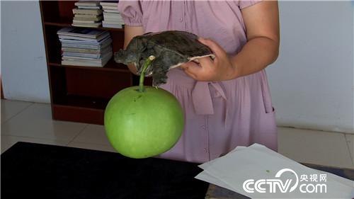 [�¸���(j��ng)]���۷��� �������Xٍ 20180827 