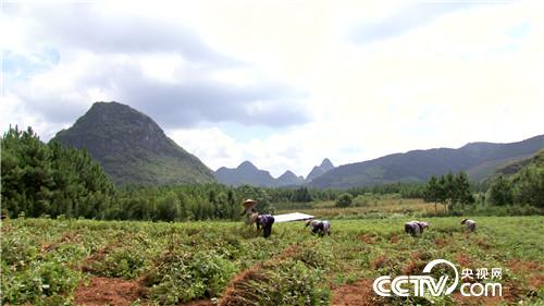 �¸���(j��ng)�����Ơ���������l(f��)�F(xi��n)��֮ؐ��(20170904)