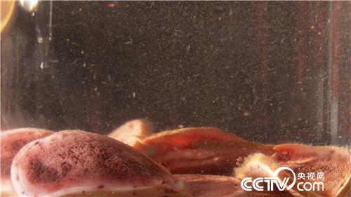 [�¸���]���TŮ����ɽ�B(y��ng)¹ һ���u��5000�f 20180828 