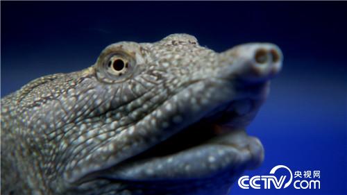 [�¸���(j��ng)]���۷��� �������Xٍ 20180827 