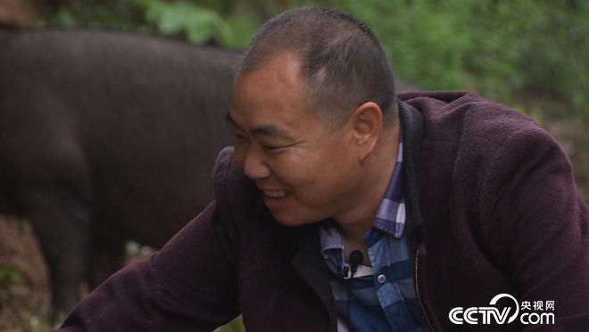 致富經(jīng):讓懶豬變勤快 年入千萬財(20171010)