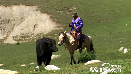 [�¸���(j��ng)]���������ǧ�f �B(y��ng)ţһ�^�u8�f �{ɶ 20180731